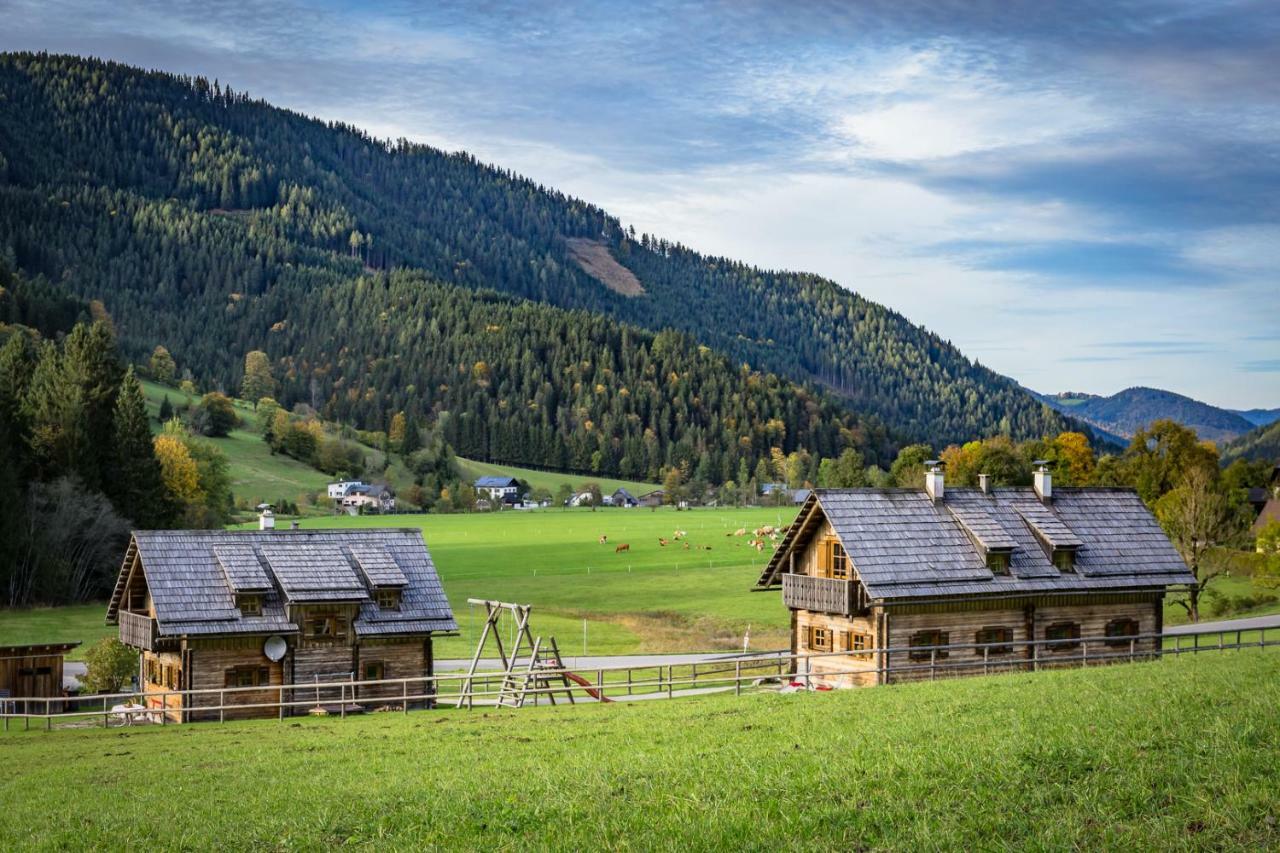 Feriendorf Lassing Gostling an der Ybbs Bagian luar foto